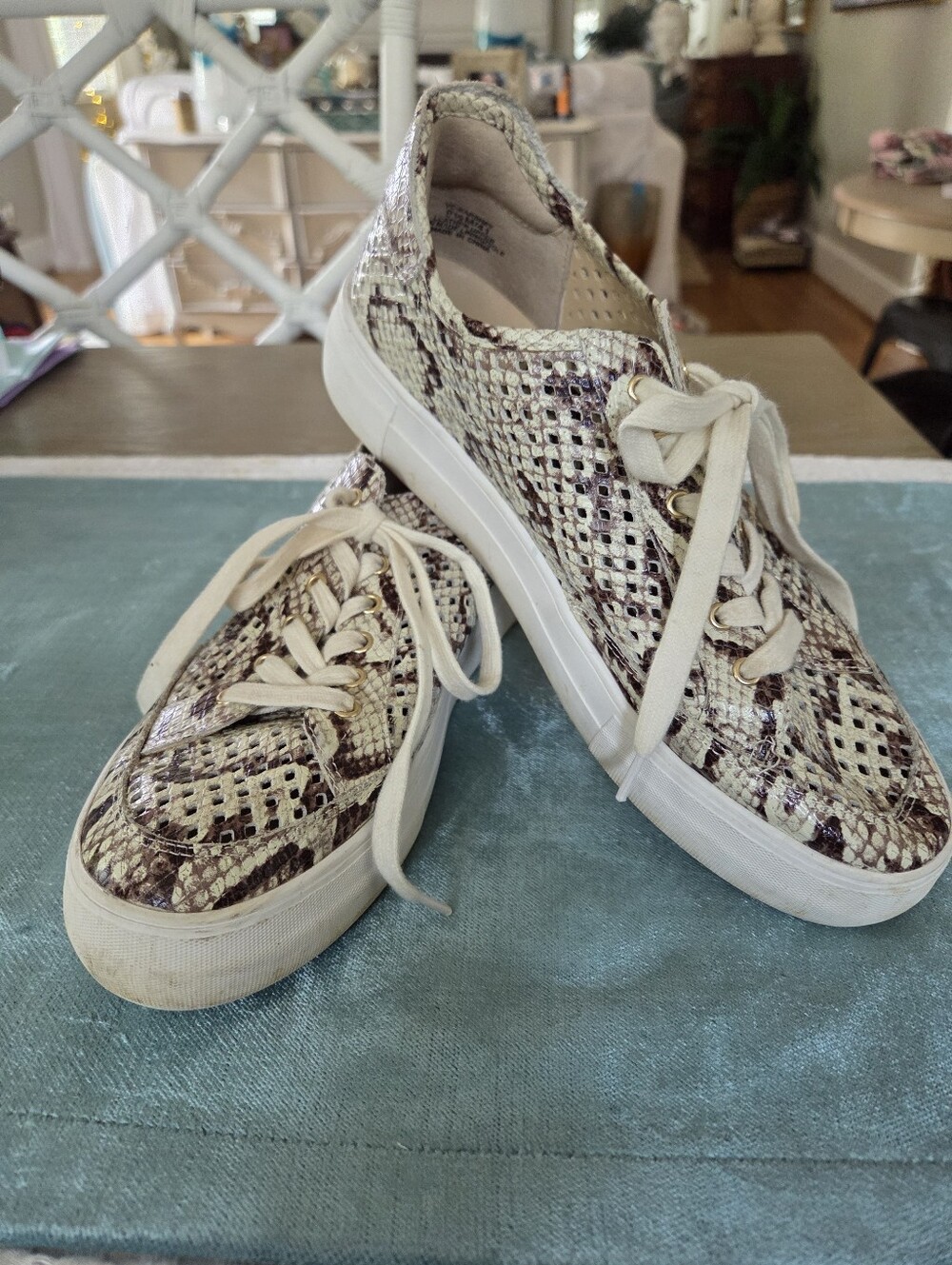 Vince Camuto Karshey Snake Print Sneakers | 9.5